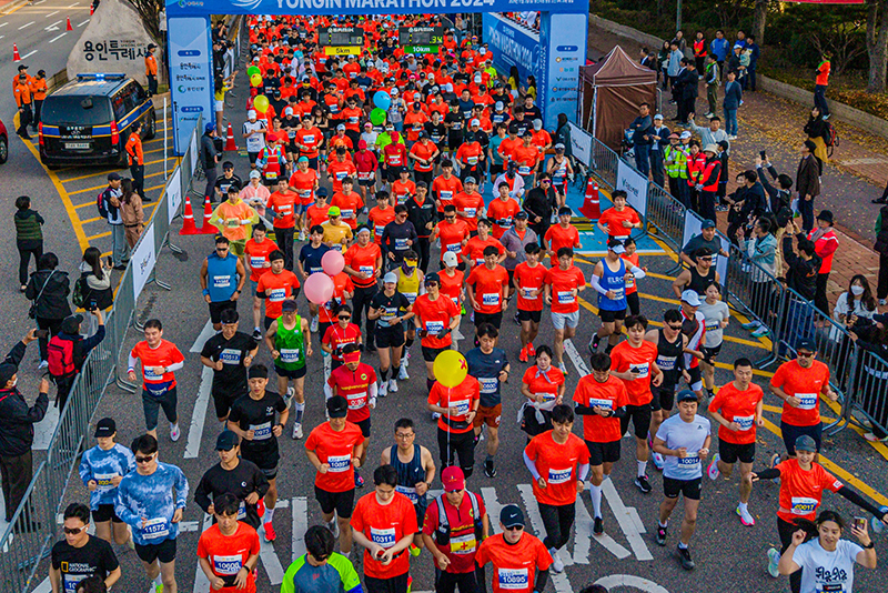 2026 ���θ�����